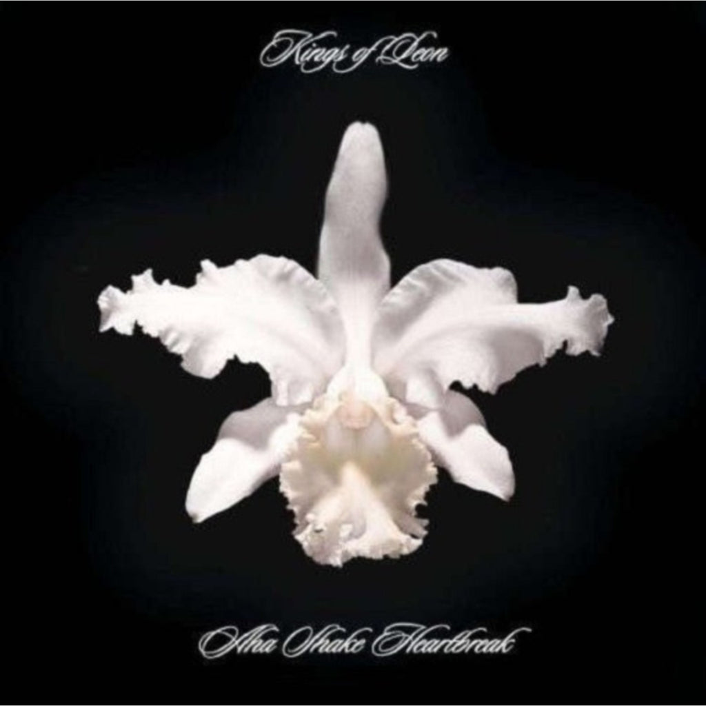 Aha Shake Heartbreak (2LP/180G/Gatefold) & Only By The Night