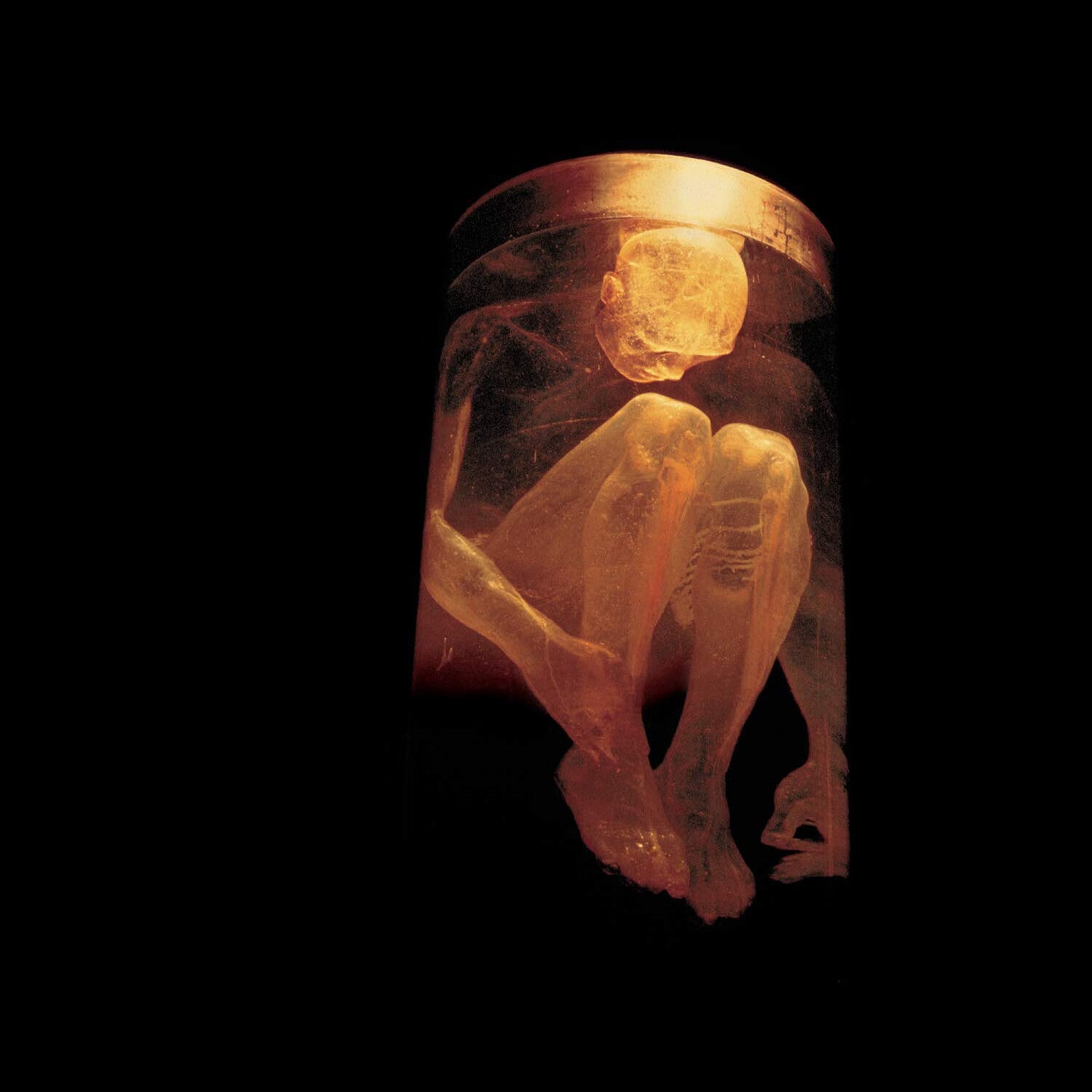 Greatest Hits & Unplugged & Sap & Live & Nothing Safe: Best Of The Box & Alice In Chains