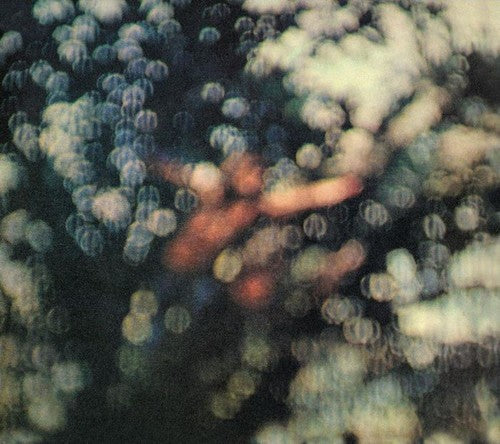 Obscured By Clouds & Momentary Lapse Of Reason