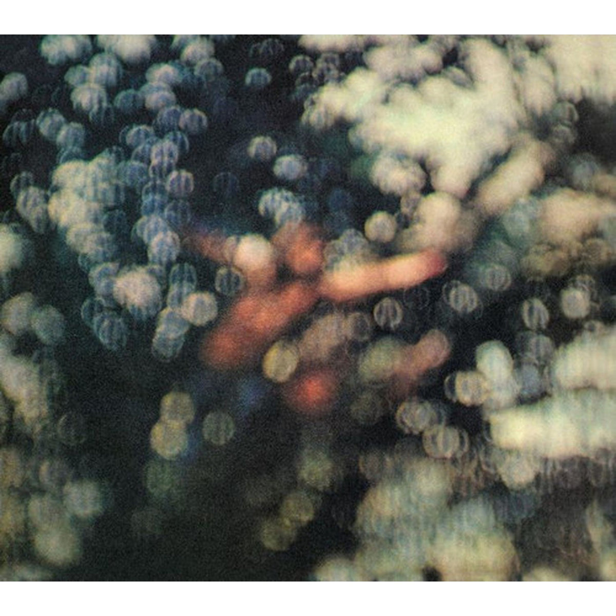 Animals (2018 Remix) & Obscured By Clouds & Wall