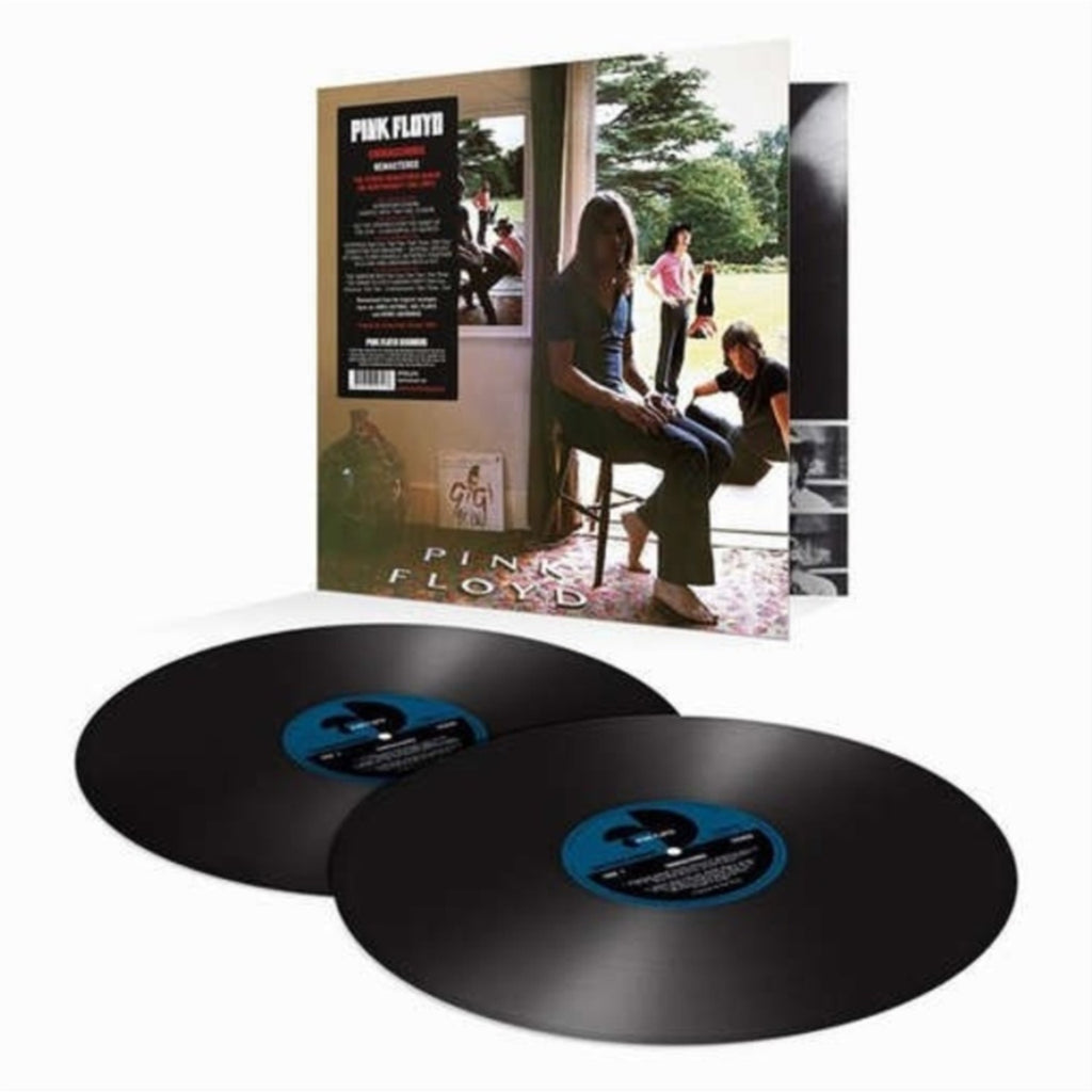 Pink Floyd - Momentary Lapse Of Reason (Remixed & Updated) (2LP) & Piper At The Gates Of Dawn (Mono Version) & Dark Side Of The Moon Live At Wembley Empire Pool 1974 & Endless River (2LP/180G) & Ummagumma (2LP/180G/2016 Version/Gatefold) & Atom Heart