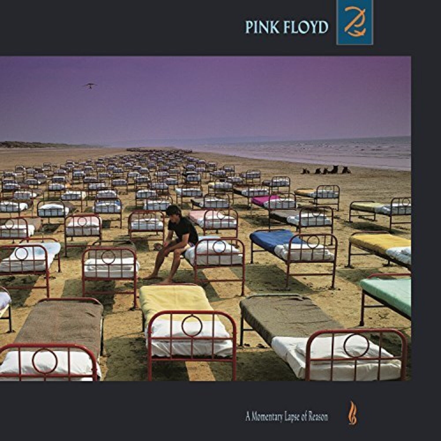 Animals (2018 Remix) (LP/CD/DVD/Blu-Ray/180G) & More (180G) & Momentary Lapse Of Reason (180G/Gatefold) (2016 Version) & Best Of Pink Floyd: A Foot In Door (2LP/180G Vinyl)