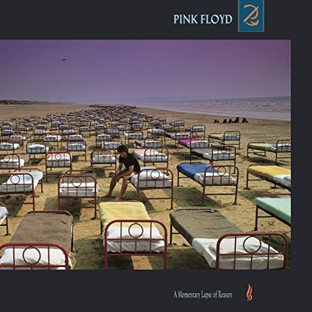 Animals (2018 Remix) (LP/CD/DVD/Blu-Ray/180G) & Momentary Lapse Of Reason (Remixed & Updated) (2LP) & Endless River (2LP/180G) & More (180G) & Momentary Lapse Of Reason (180G/Gatefold) (2016 Version) & Best Of Pink Floyd: A Foot In Door (2LP/180G Vinyl)