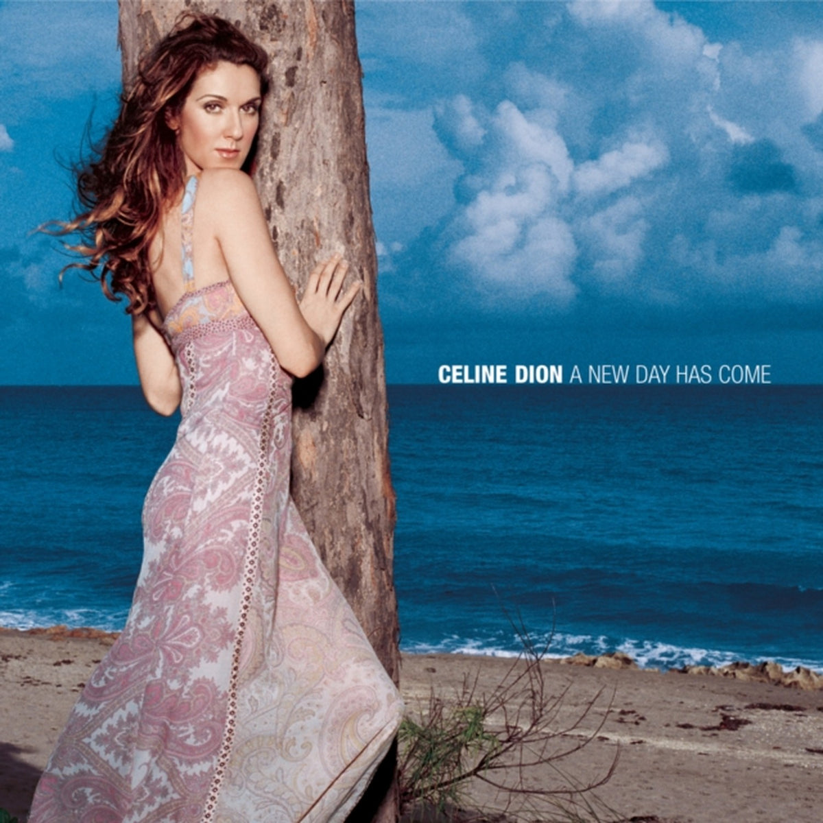 Falling Into You & New Day Has Come