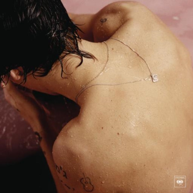 This is a 2 LP Vinyl SKU bundle.
1.This LP Vinyl is brand new.Format: LP VinylMusic Style: Pop RockThis item's title is: Fine Line (2LP/Gatefold/Poster)Artist: Harry StylesLabel: COLUMBIA RECORDSBarcode: 194397051414Release Date: 12/13/2019
2.This LP Vinyl is brand new.