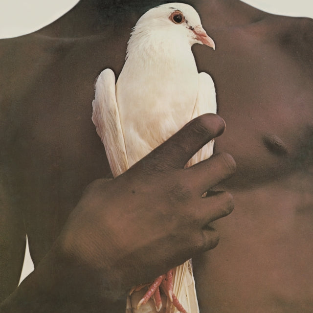 Supernatural (2LP/150G) & Splendiferous (2LP/150G) & Blessings & Miracles & Santana Iii & Greatest Hits (1974) (150G/Dl Card)