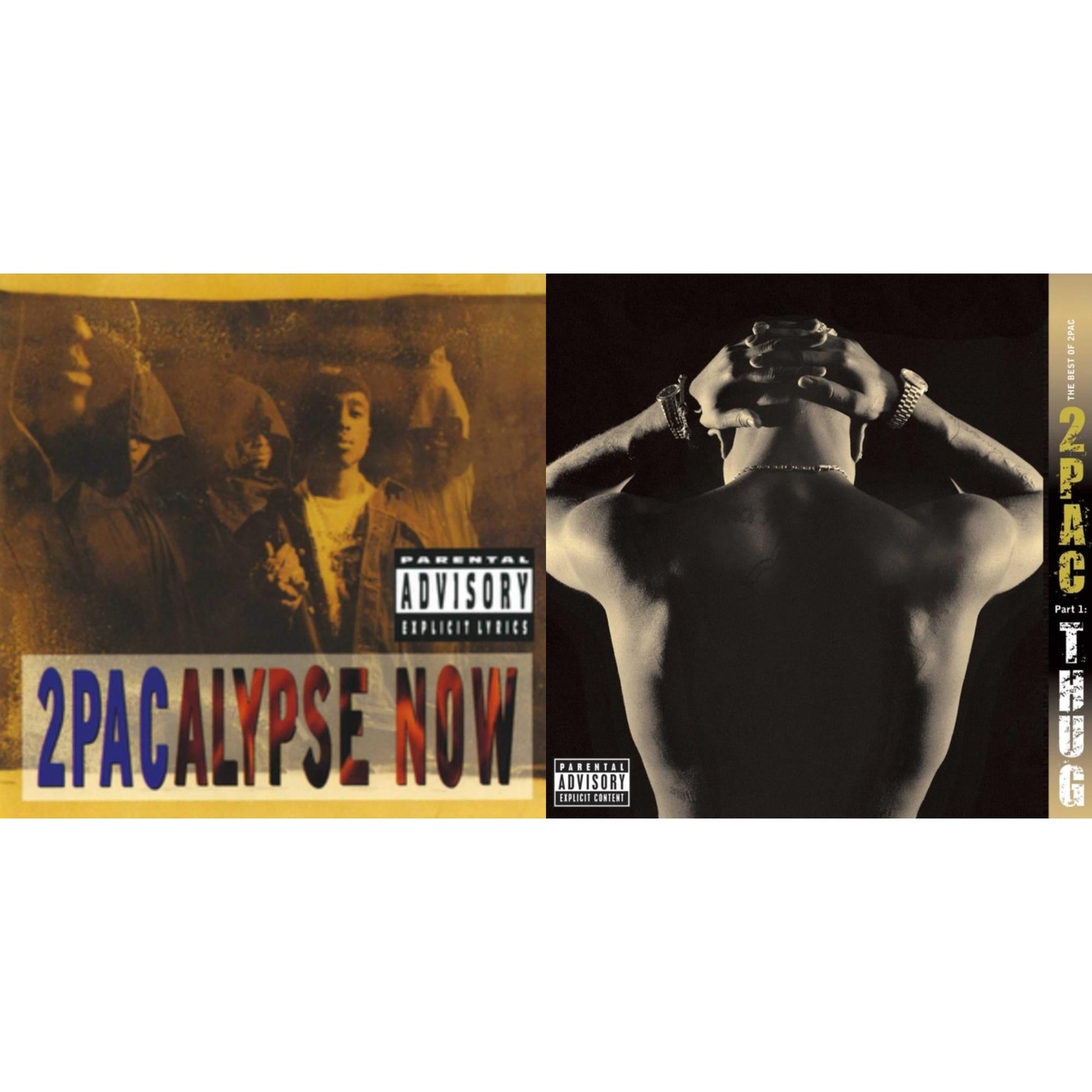 This is a 2 LP Vinyl SKU bundle.
1.This LP Vinyl is brand new.Format: LP VinylMusic Style: GangstaThis item's title is: 2Pacalypse NowArtist: 2PacLabel: INTERSCOPEBarcode: 602527949857Release Date: 11/11/2016
2.This LP Vinyl is brand new.