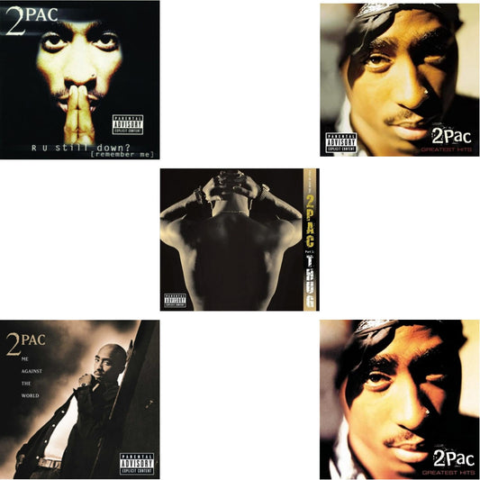 This is a 5 CD SKU bundle.
1.This CD is brand new.Format: CDMusic Style: GangstaThis item's title is: R U Still DownArtist: 2PacLabel: INTERSCOPEBarcode: 012414162823Release Date: 7/18/2011
2.This CD is brand new.