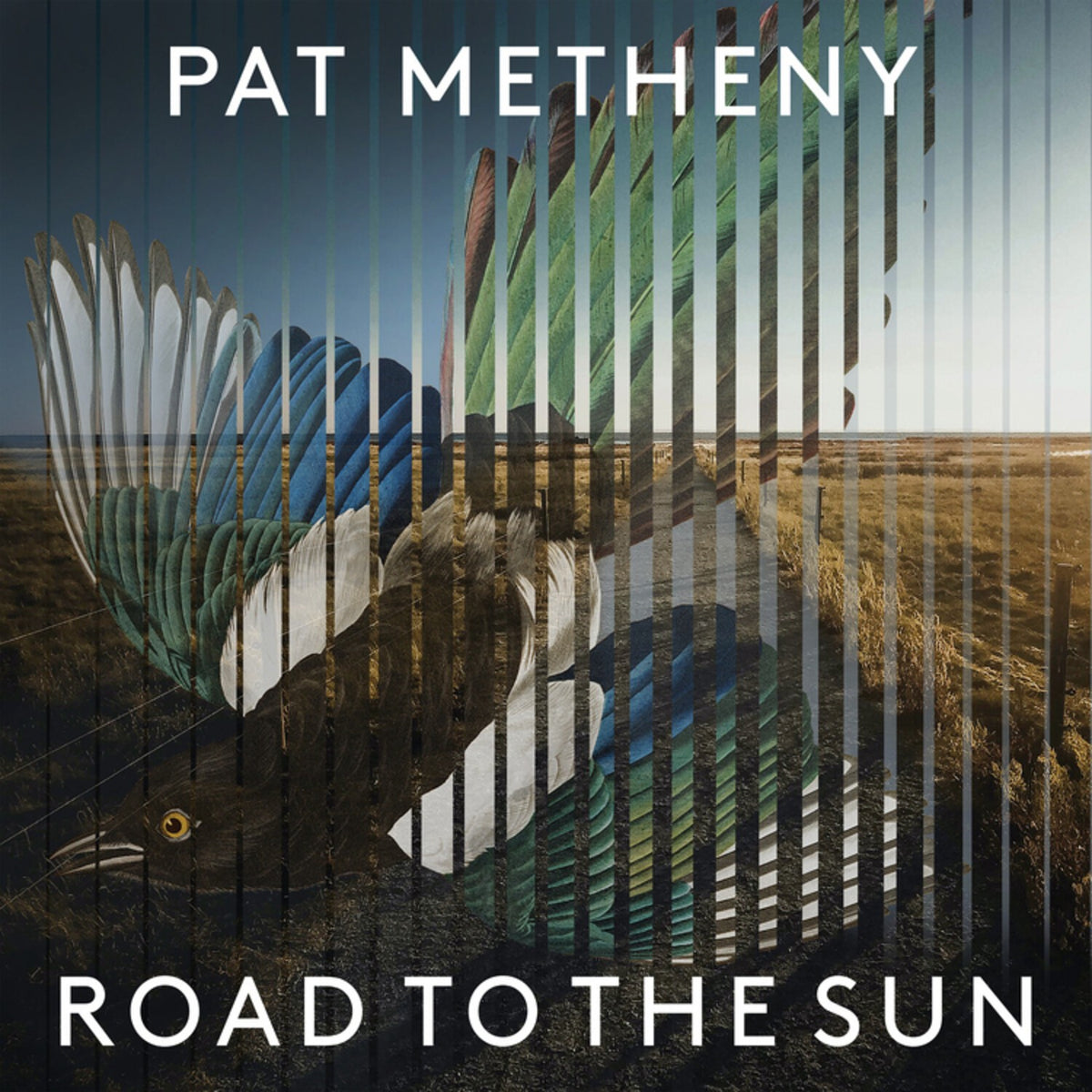 Pat Metheny - Road To The Sun (2LP) & Side-Eye Nyc (V1.Iv) (2LP)
