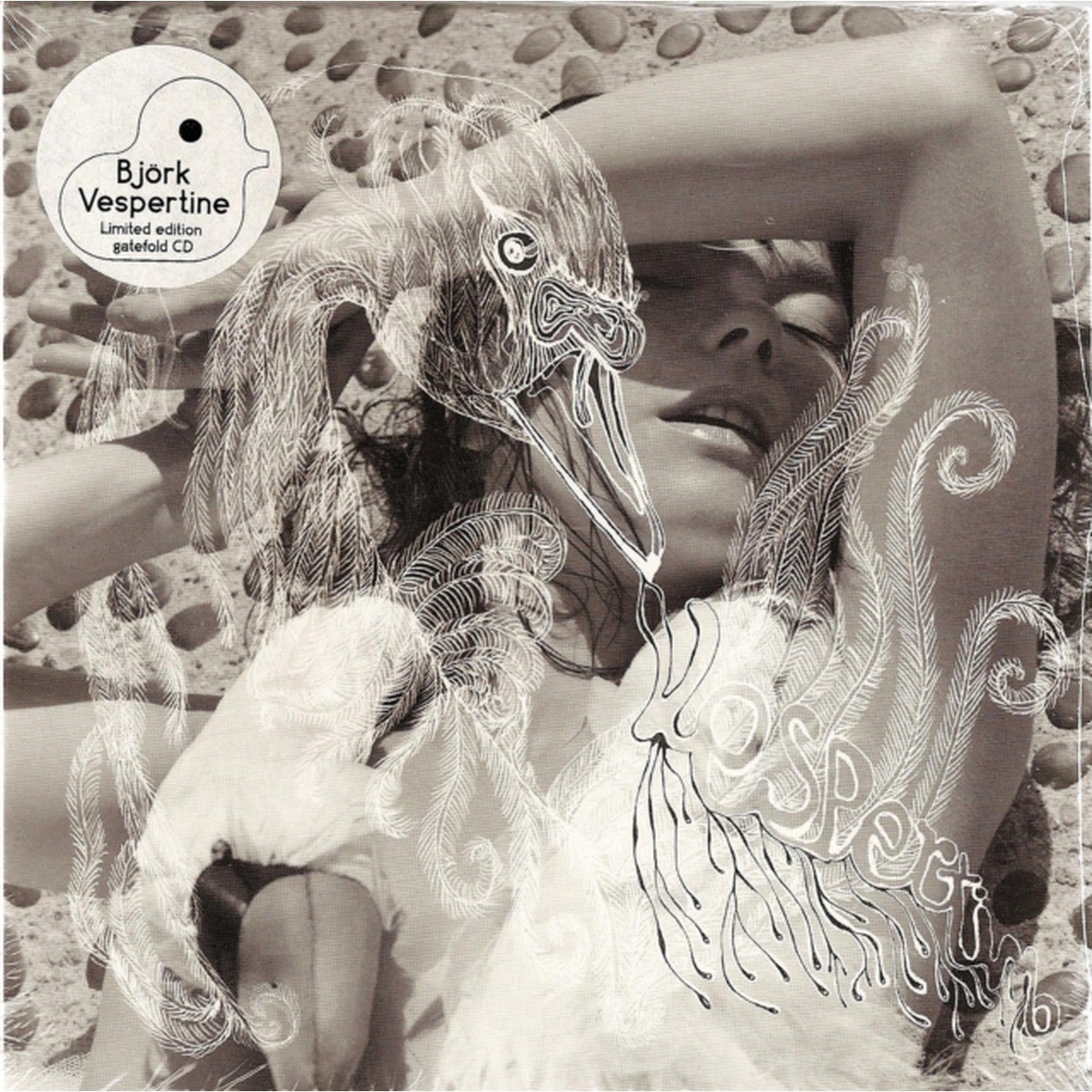 Homogenic & Vespertine Ltd