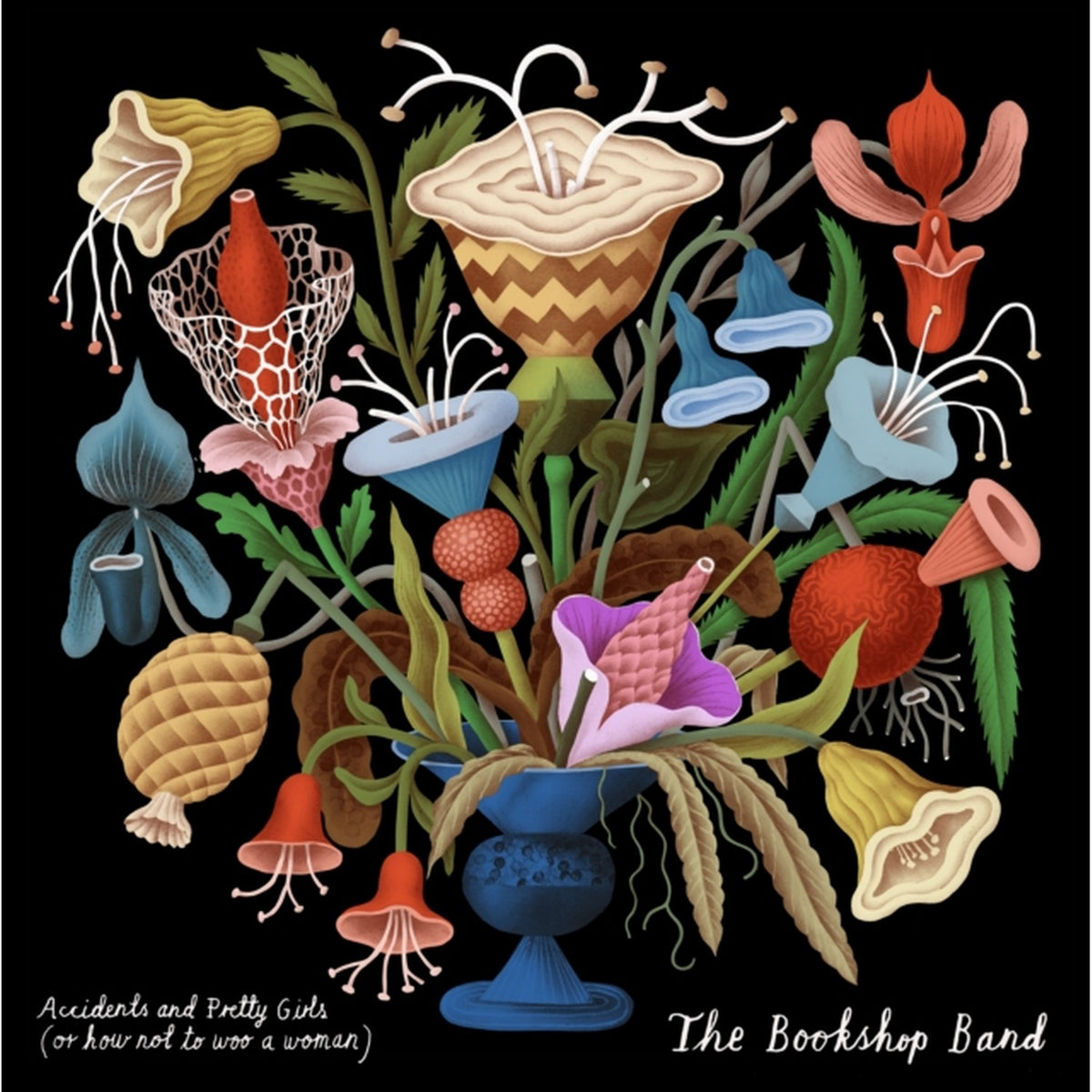 Bookshop Band - Accidents & Pretty Girls & Before I Crack - CD Bundle