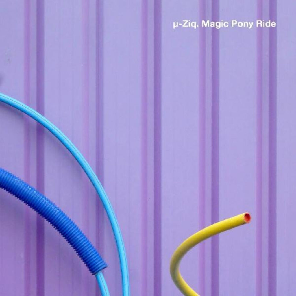 Goodbye & Magic Pony Ride (2LP)