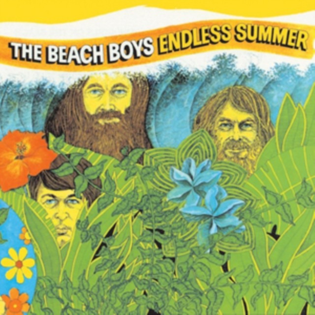 Beach Boys - Endless Summer & Sounds Of Summer: The Very Best Of The Beach Boys (Remastered/2LP) & Sail On Sailor (2LP/7Inch) & Feel Flows: The Sunflower & Surf's Up Sessions 1969-1971 (2LP) & Beach Boys' Christmas Album (Mono) & Pet Sounds (Mono) &
