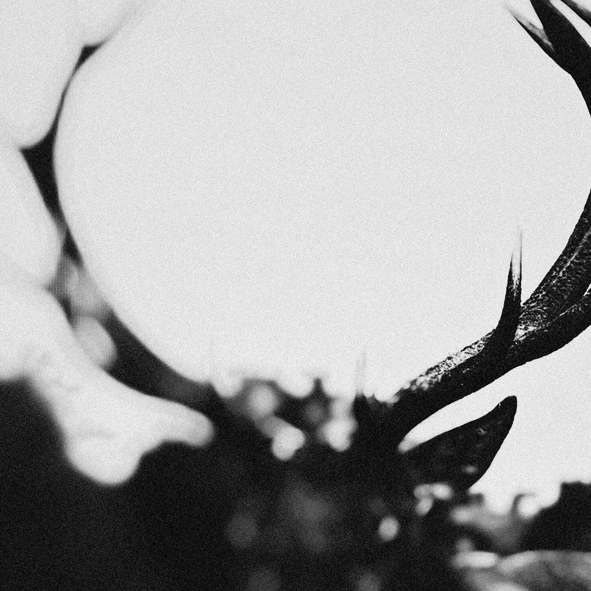 Ihsahn (2LP/Coloured Vinyl) & Ihsahn (Orchestral Version) (Clear W/ Black Smoke Vinyl/2LP) & After (2LP/1-Black/White Swirl Vinyl/2-Pink Vinyl)