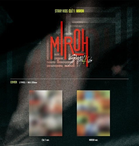 Hop (Skzhop Ver.) & Karma (Karma Ver.) & Mixtape & Cle 1: Miroh (Mini Album)  & Go: Volume 1 (Normal Edition) & Holiday Special Single Christmas Evel (Normal Ver.) & Do It - Skz It Tape (It Ver.) & Do It - Skz It Tape (Accordion Ver.)