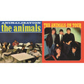 Animals On Tour & Animalization