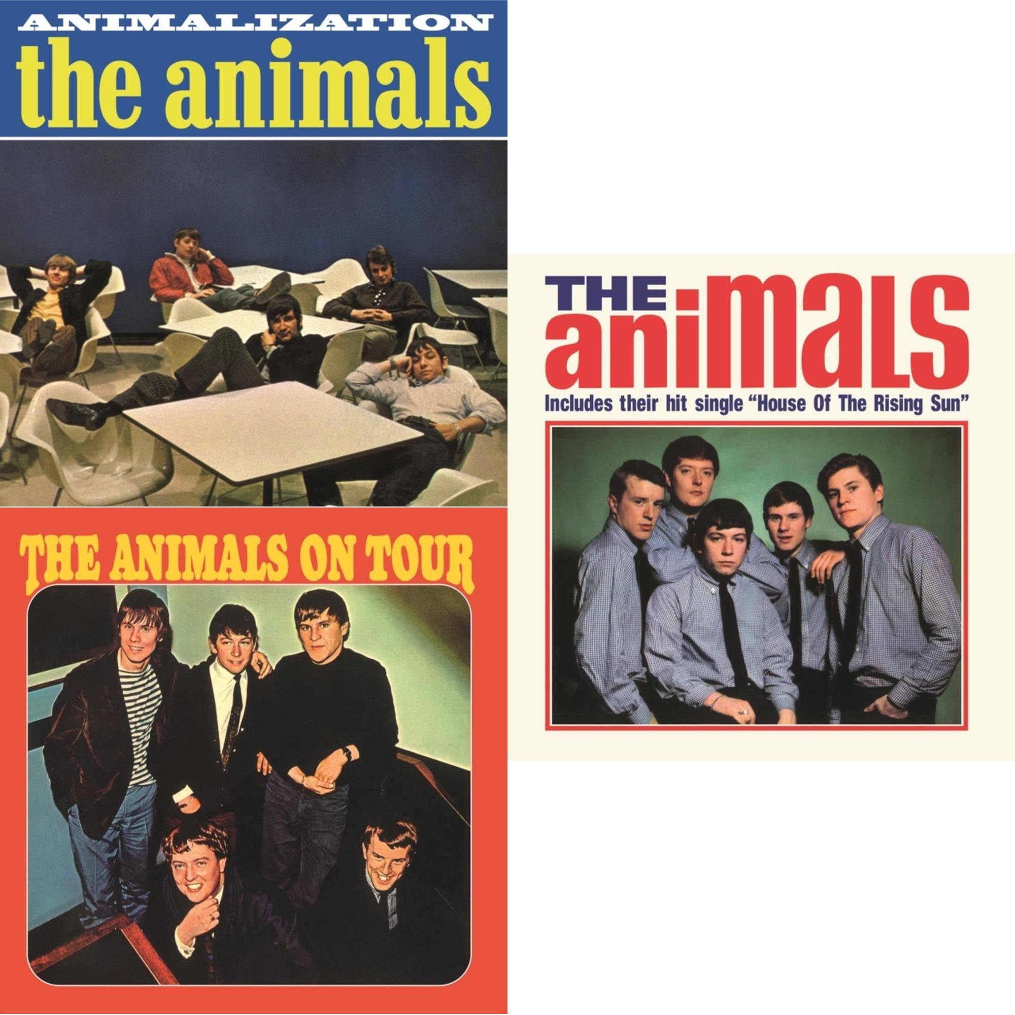 Animals & Animals On Tour & Animalization