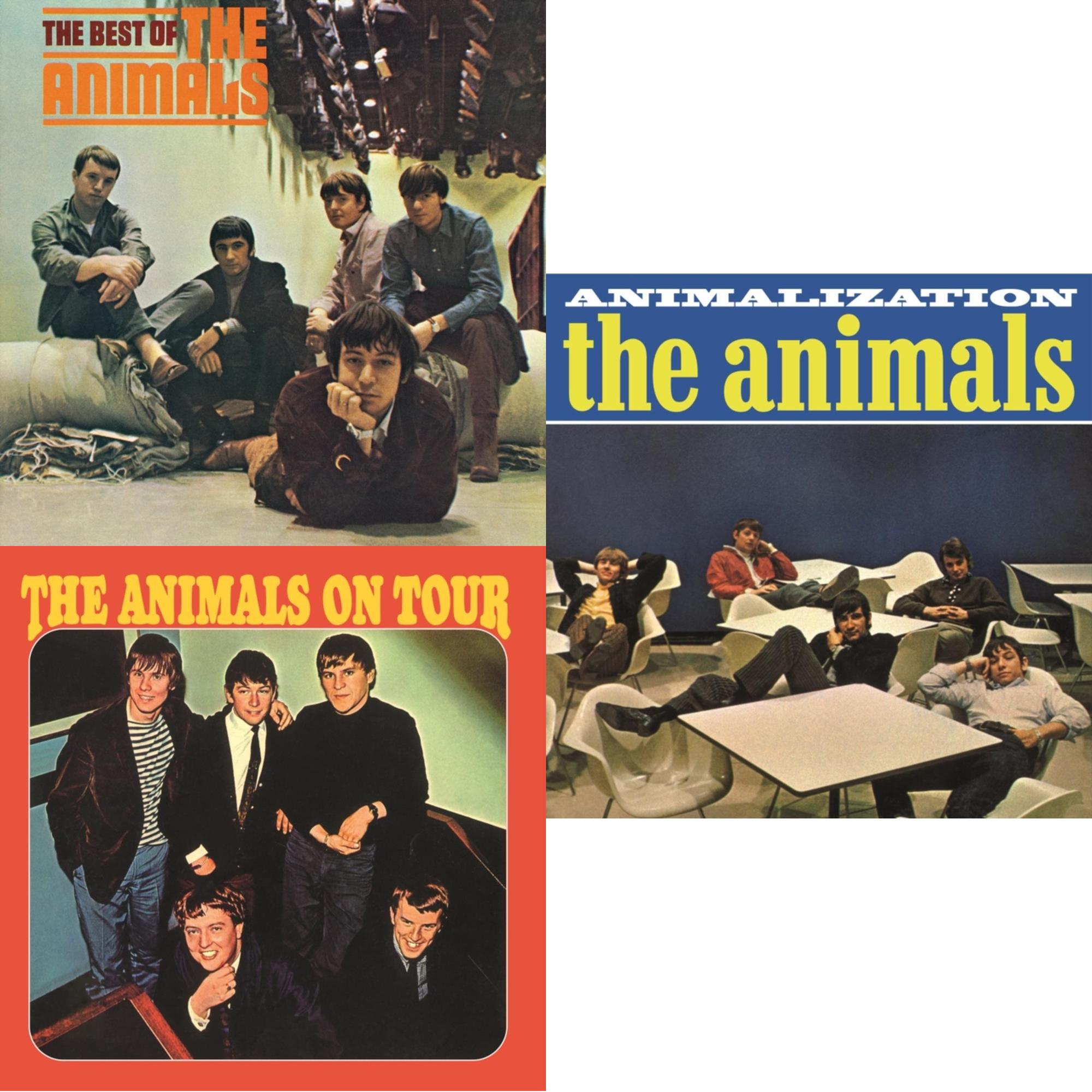 Best Of The Animals & Animals On Tour & Animalization