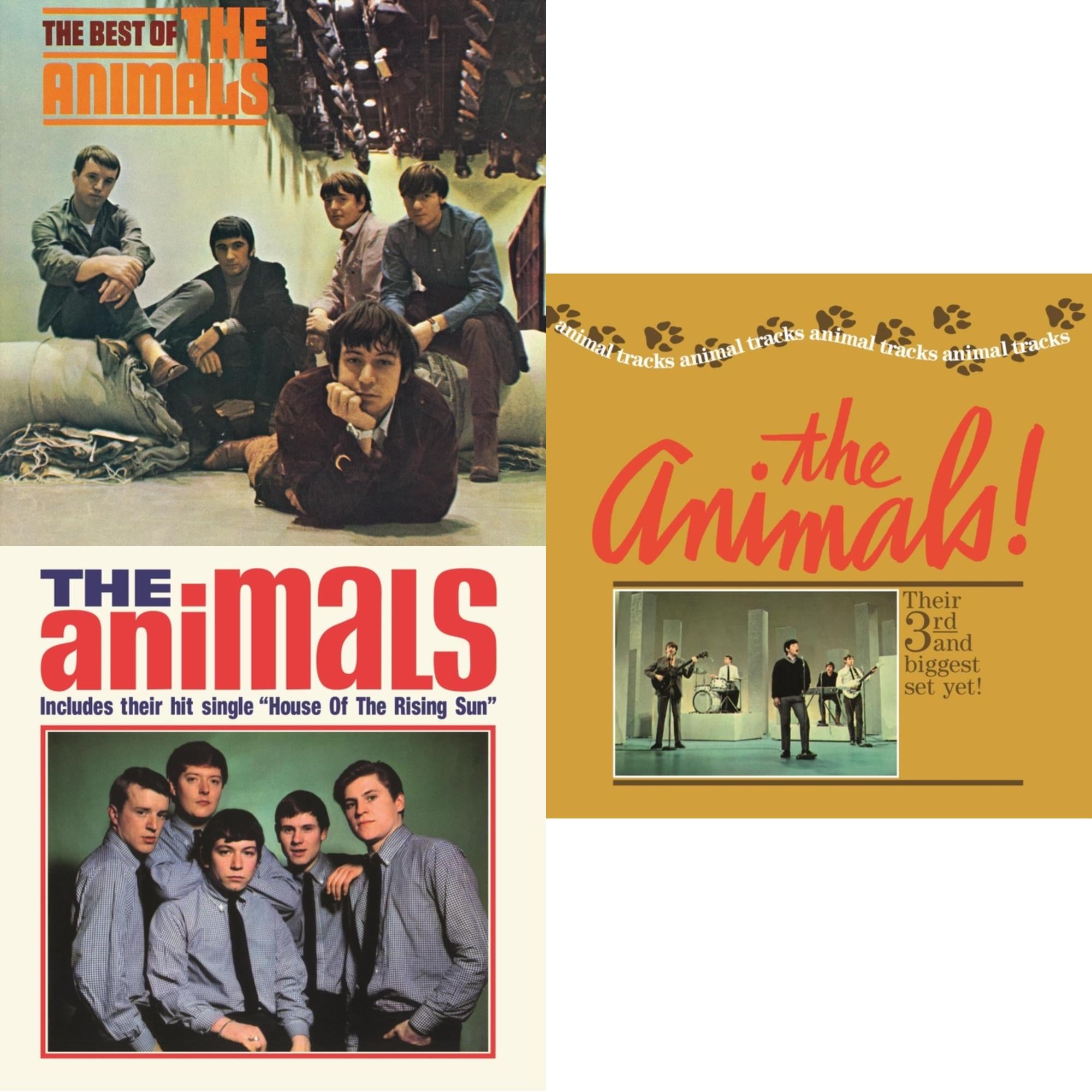 Best Of The Animals & Animals & Animal Tracks
