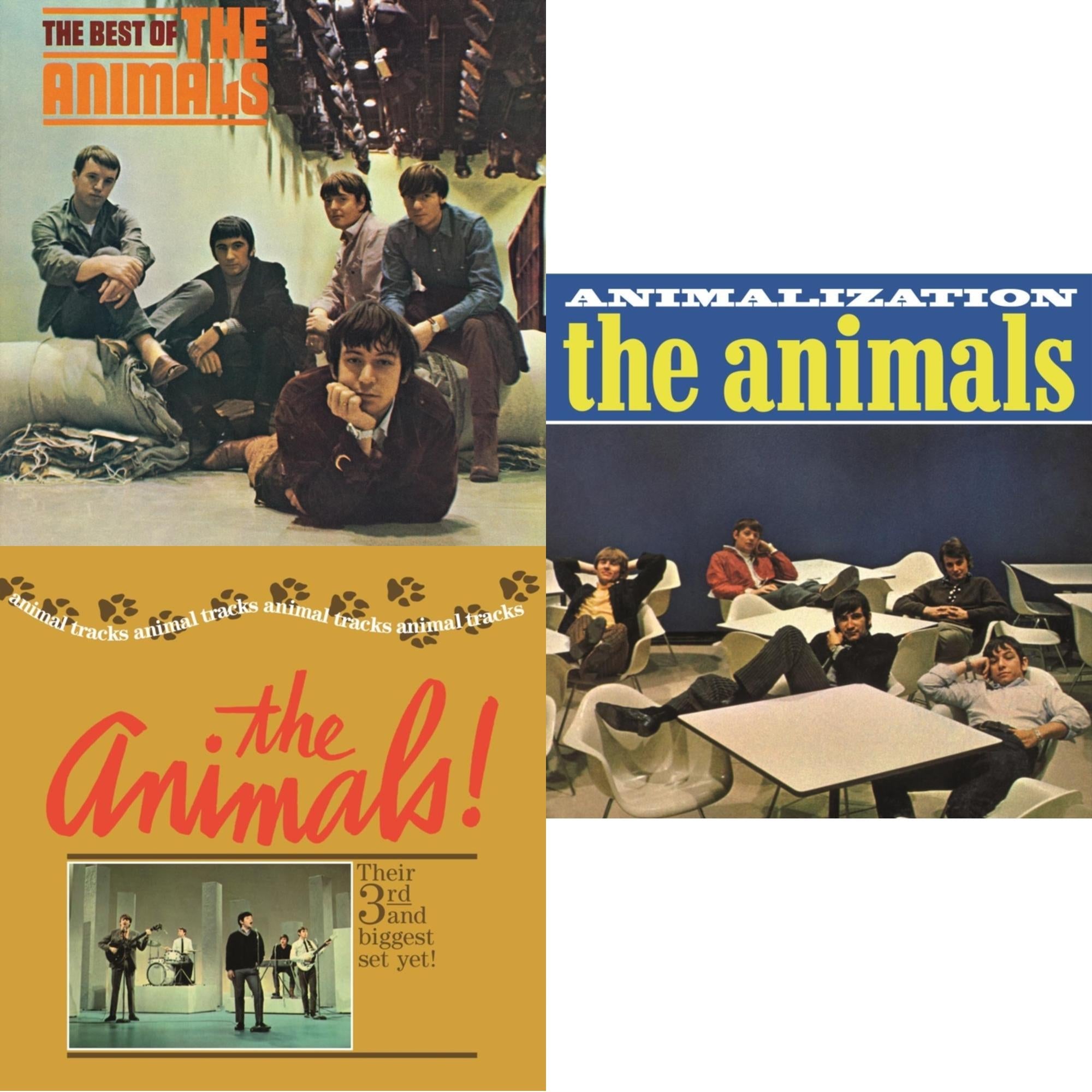 Best Of The Animals & Animal Tracks & Animalization