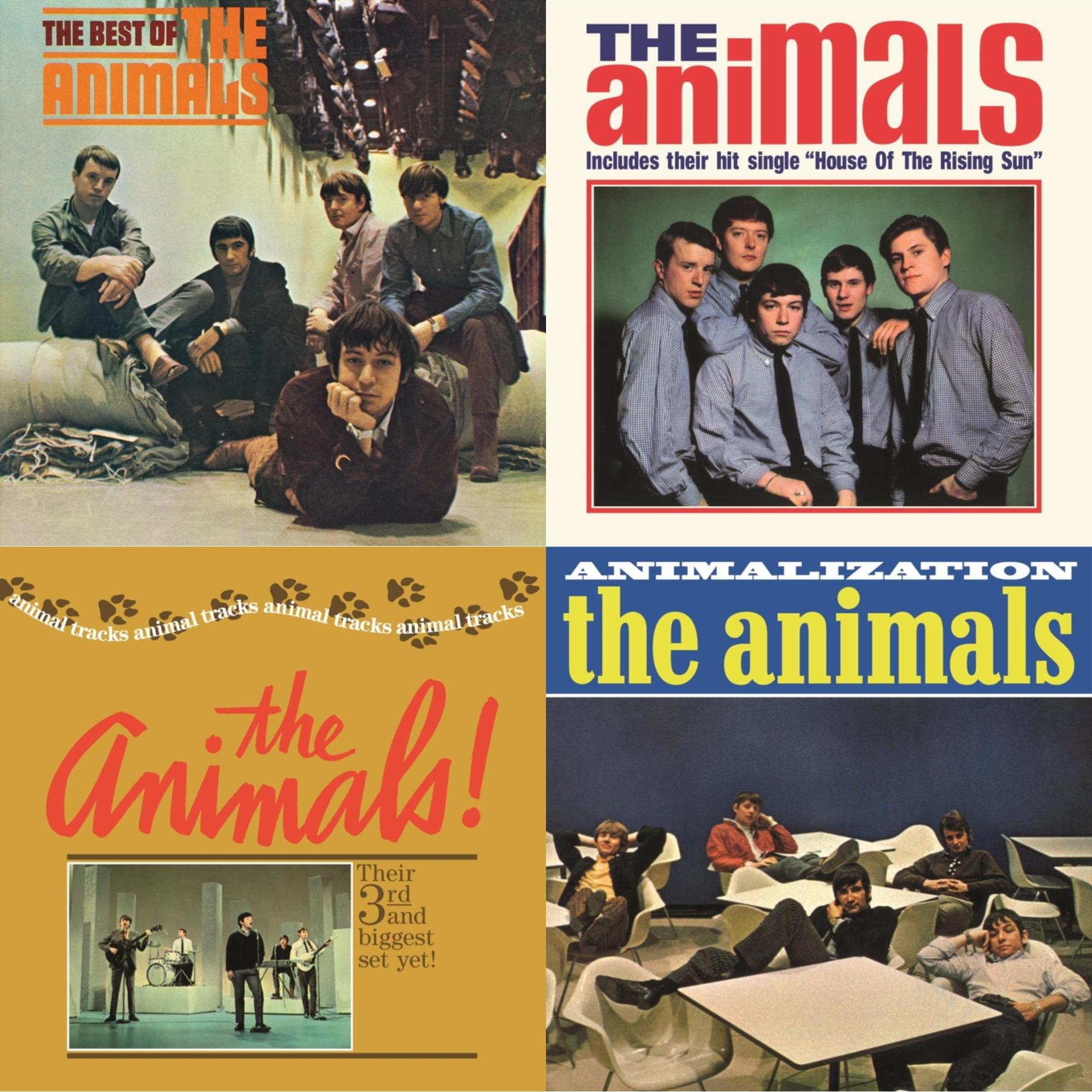 Best Of The Animals & Animals & Animal Tracks & Animalization