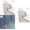 This is a 3 LP Vinyl SKU bundle.
1.This LP Vinyl is brand new.Format: LP VinylMusic Style: ExperimentalThis item's title is: Dream (Milky Clear LP Vinyl) (I)Artist: Alt-JLabel: Infectious MusicBarcode: 075678641824Release Date: 2/11/2022
2.This LP Vinyl is brand new.