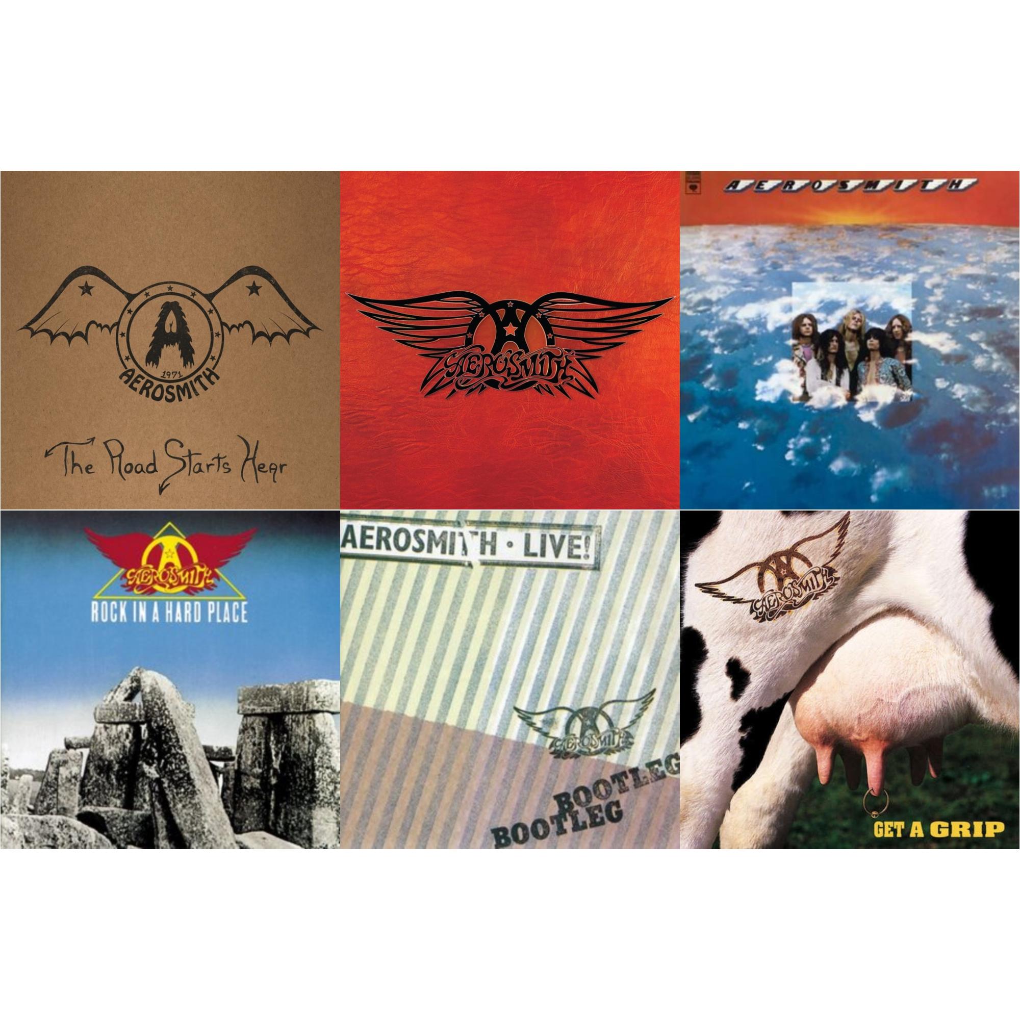 1971: The Road Starts Here & Greatest Hits & Aerosmith & Rock In A Hard Place & Live! Bootleg (2LP) & Get A Grip