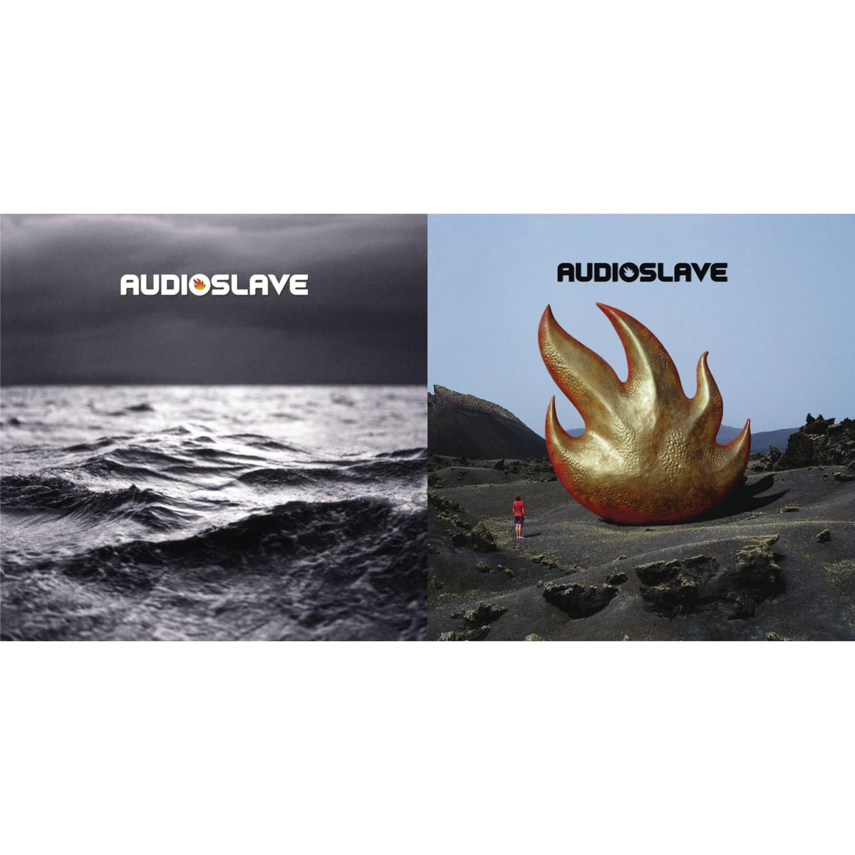 Out Of Exile & Audioslave