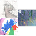This is a 3 LP Vinyl SKU bundle.
1.This LP Vinyl is brand new.Format: LP VinylMusic Style: ExperimentalThis item's title is: Dream (Milky Clear LP Vinyl) (I)Artist: Alt-JLabel: Infectious MusicBarcode: 075678641824Release Date: 2/11/2022
2.This LP Vinyl is brand new.