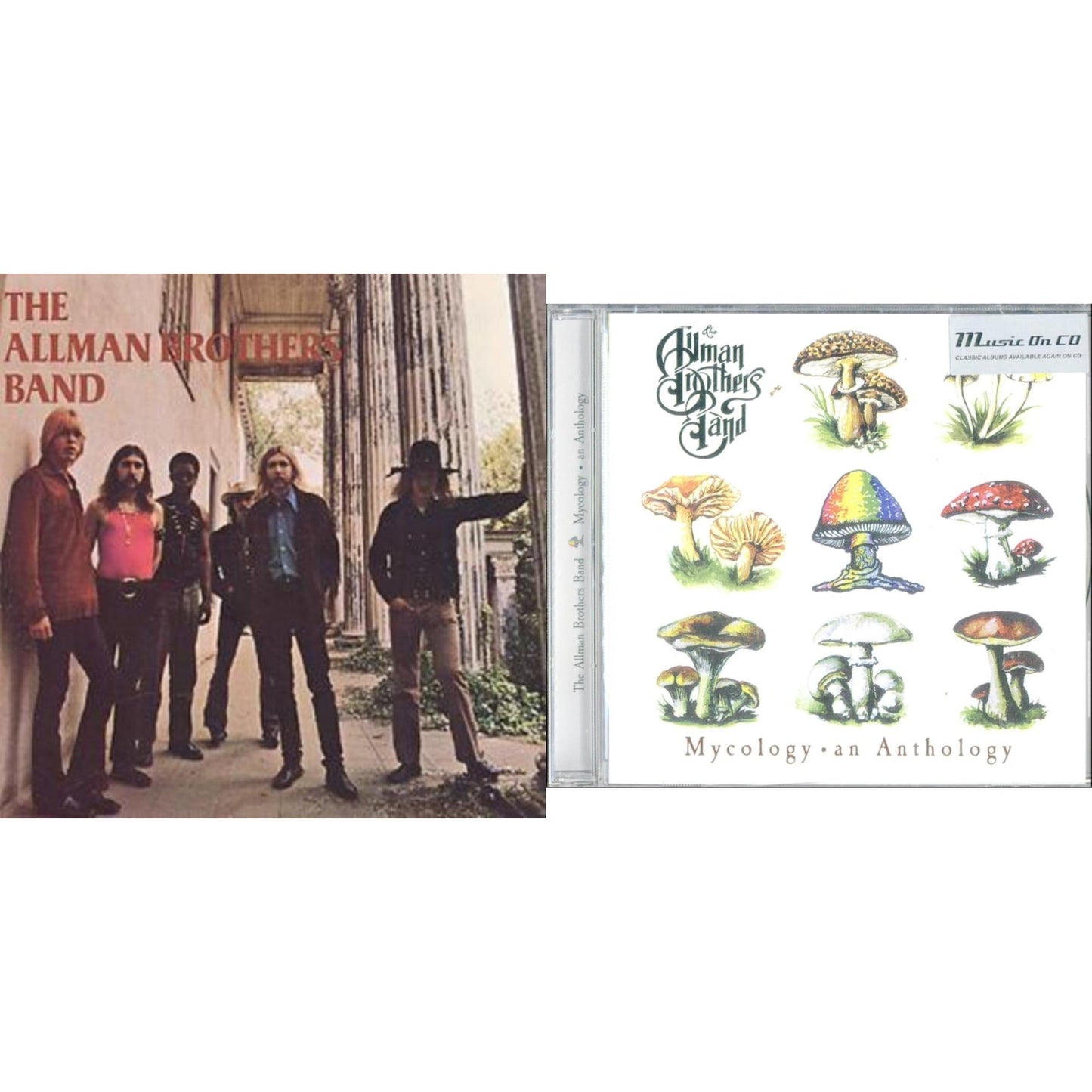 This is a 2 CD SKU bundle.
1.This CD is brand new.Format: CDMusic Style: Blues RockThis item's title is: Allman Brothers BandArtist: Allman Brothers BandLabel: MERCURYBarcode: 731453125728Release Date: 10/14/1997
2.This CD is brand new.