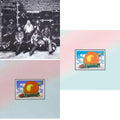 This is a 3 LP Vinyl SKU bundle.
1.This LP Vinyl is brand new.Format: LP VinylMusic Style: Blues RockThis item's title is: Live At Fillmore EastArtist: Allman Brothers BandLabel: MERCURYBarcode: 042282327314Release Date: 9/23/2008
2.This LP Vinyl is brand new.