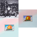 This is a 3 LP Vinyl SKU bundle.
1.This LP Vinyl is brand new.Format: LP VinylMusic Style: Blues RockThis item's title is: Live At Fillmore EastArtist: Allman Brothers BandLabel: MERCURYBarcode: 042282327314Release Date: 9/23/2008
2.This LP Vinyl is brand new.