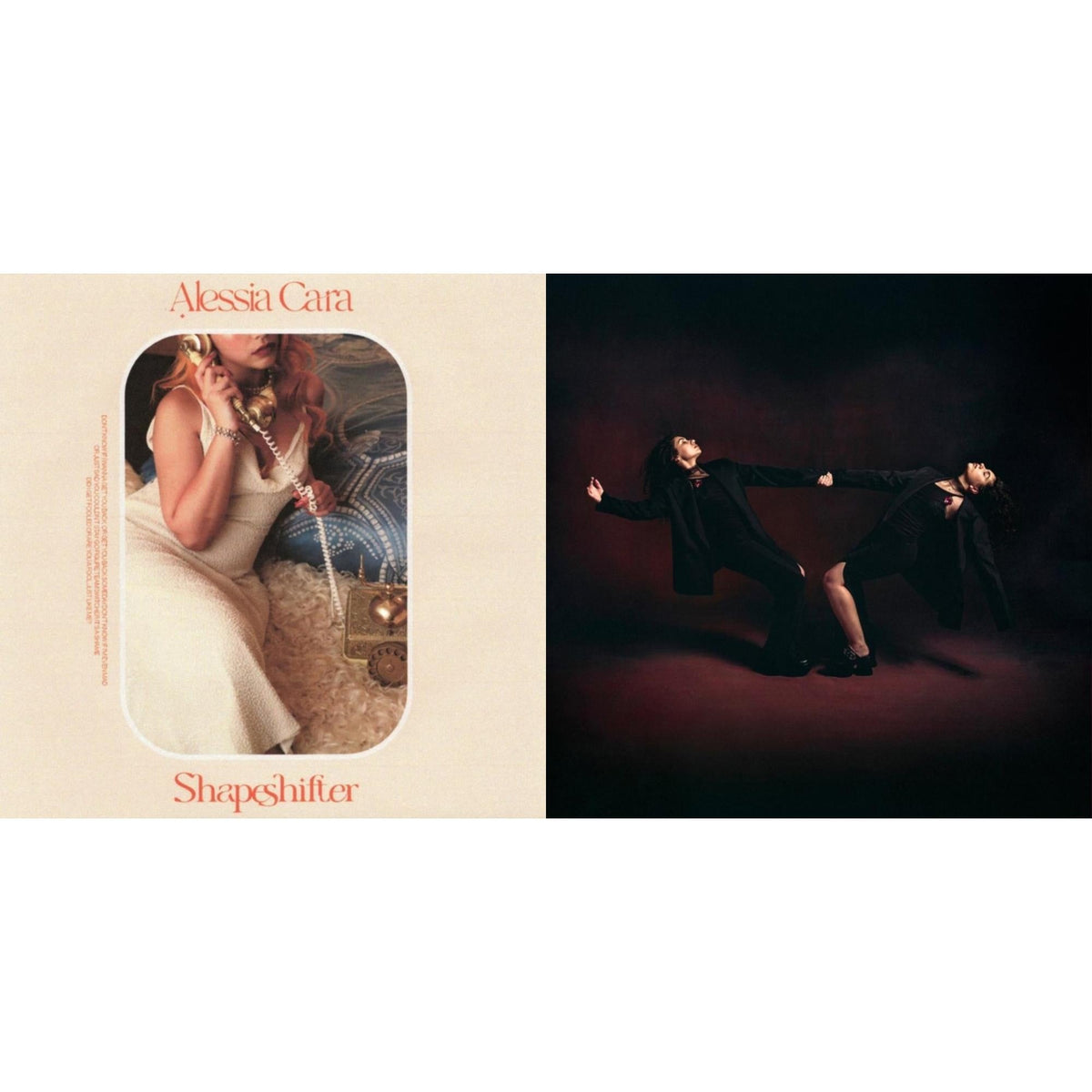 In The Meantime (2LP) & Love & Hyperbole