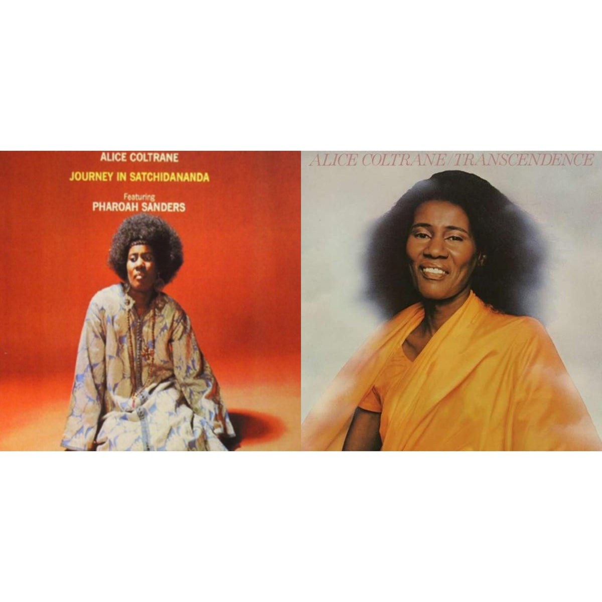 Journey In Sat Chidananda & Transcendence (Import)