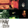 Dirt & Jar Of Flies & Black Gives Way To Blue & Greatest Hits & Live & Nothing Safe: Best Of The Box & Alice In Chains