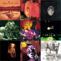 Dirt & Jar Of Flies & Black Gives Way To Blue & Greatest Hits & Unplugged & Live & Nothing Safe: Best Of The Box & Facelift & Alice In Chains