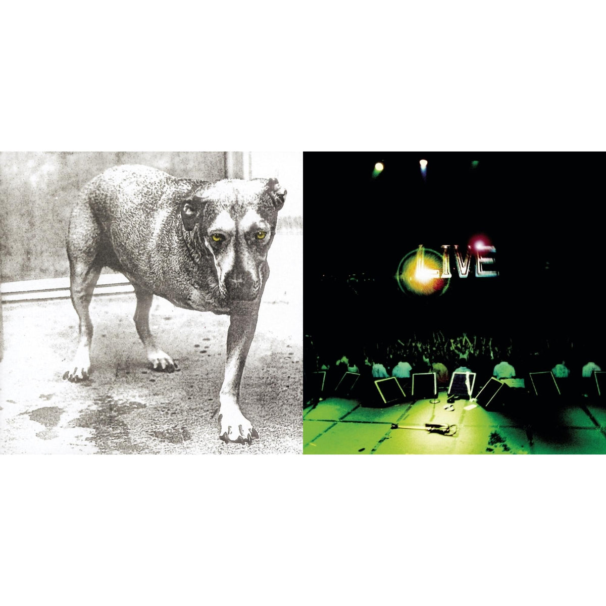 Live & Alice In Chains