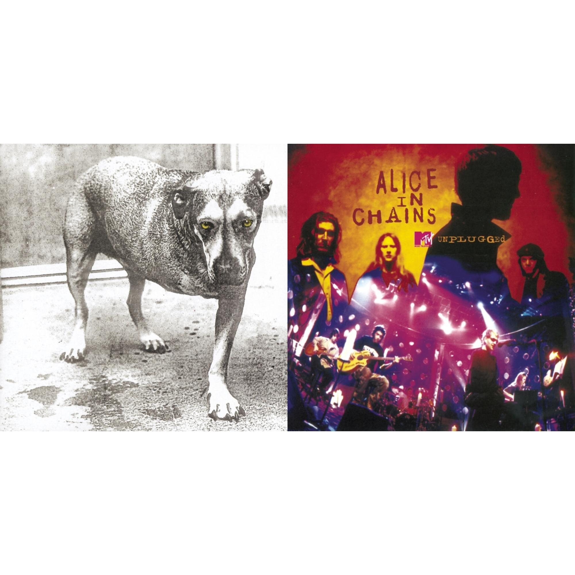 Unplugged & Alice In Chains