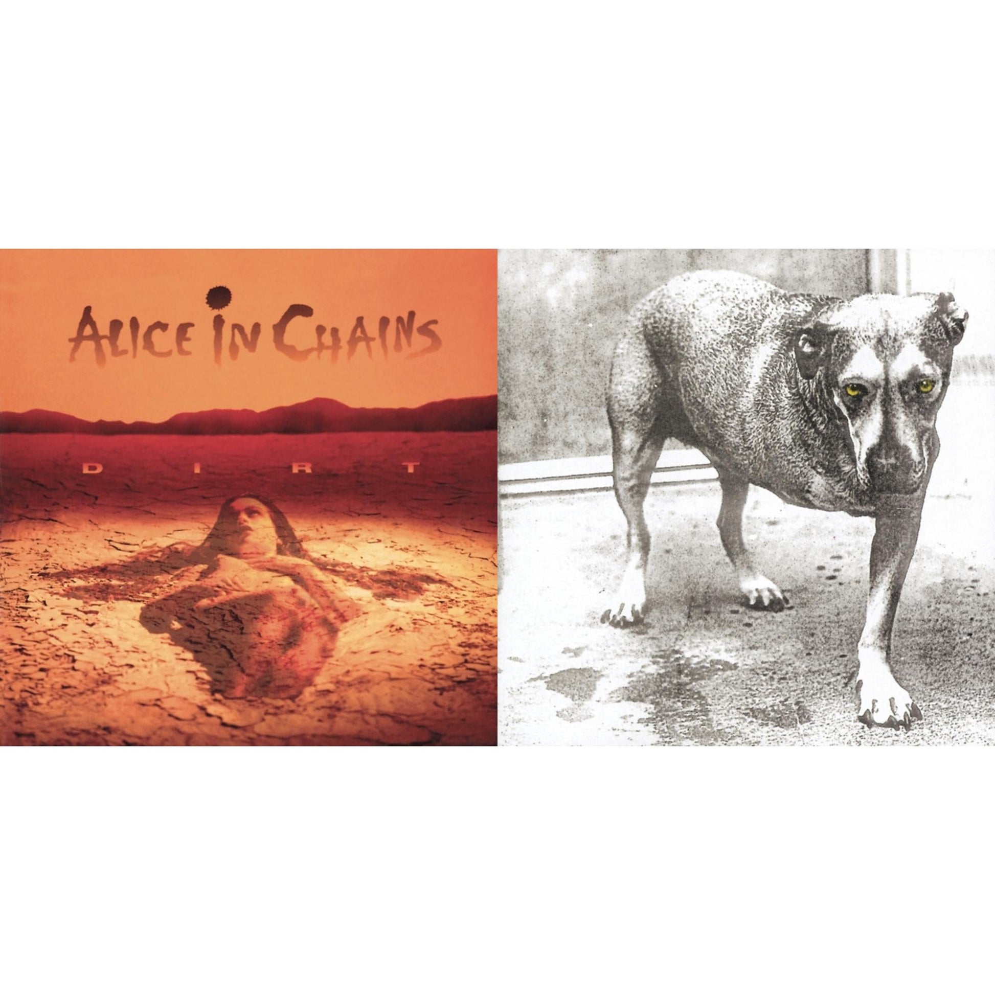 This is a 2 CD SKU bundle.
1.This CD is brand new.Format: CDMusic Style: GlitchThis item's title is: DirtArtist: Alice In ChainsLabel: LEGACYBarcode: 074645247526Release Date: 9/29/1992
2.This CD is brand new.