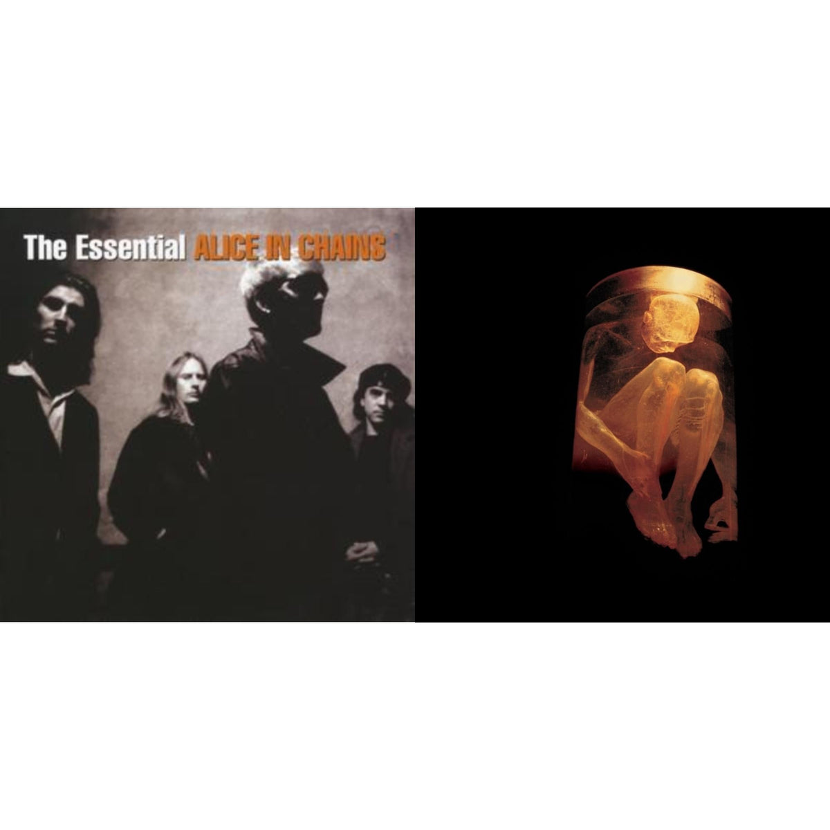 Essential Alice In Chains & Nothing Safe: Best Of The Box