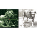 Greatest Hits & Alice In Chains