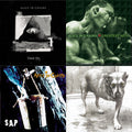 Rainier Fog & Greatest Hits & Sap & Alice In Chains