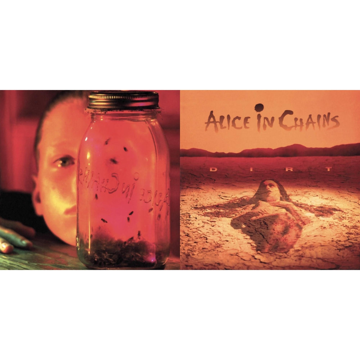 Dirt & Jar Of Flies