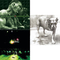 Greatest Hits & Live & Alice In Chains