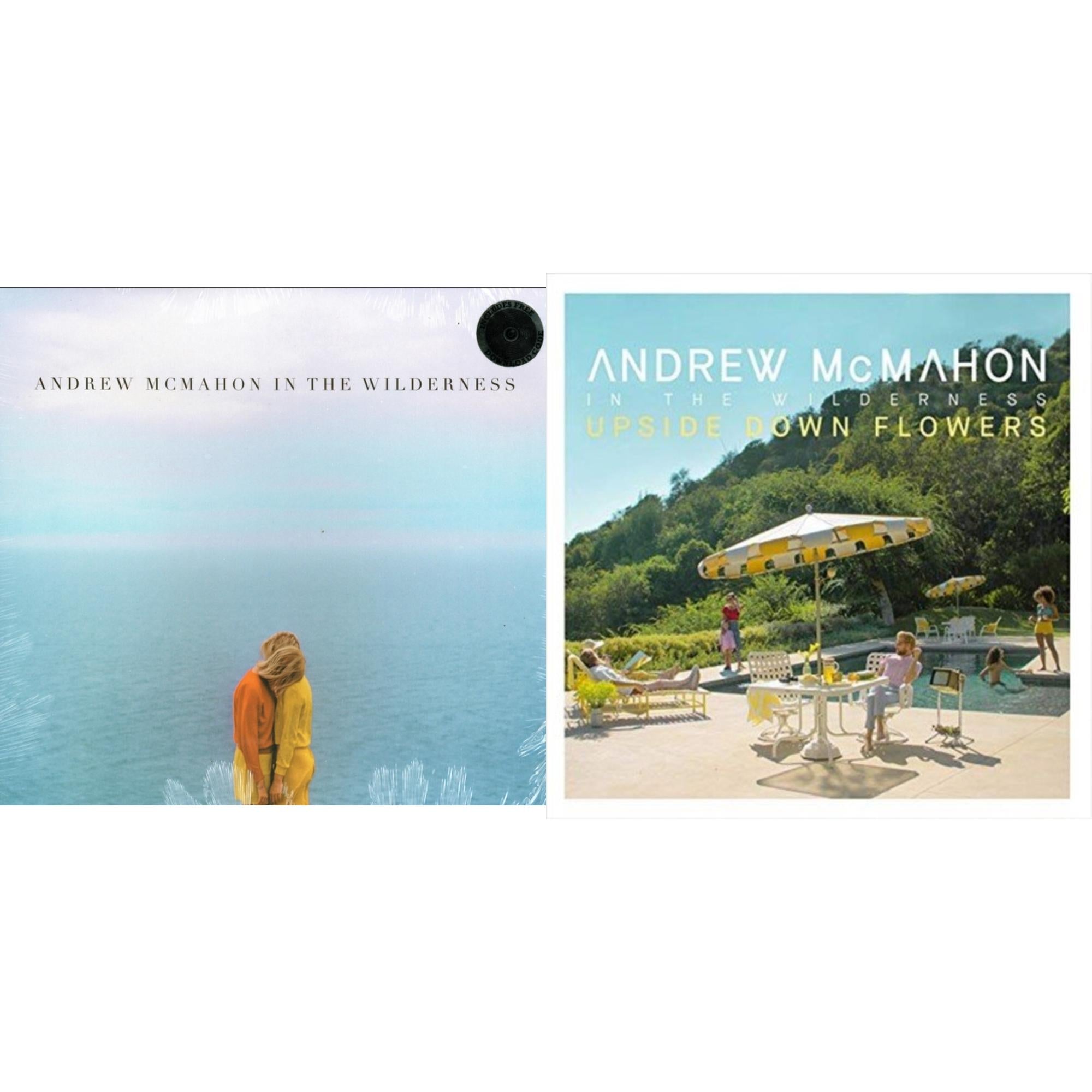 Andrew Mcmahon In The Wilderness & Upside Down Flowers