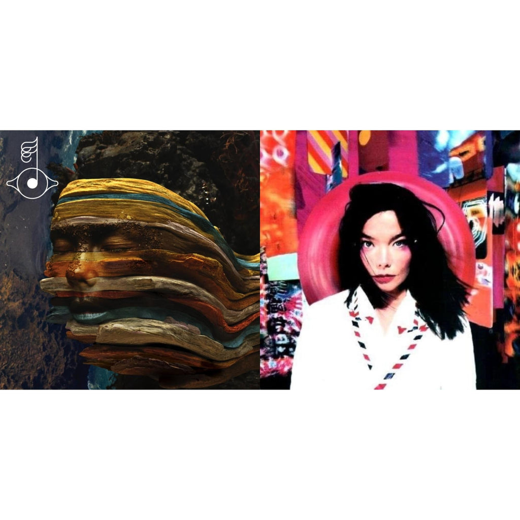 Bjork - Post & Bastards: Remix - LP Vinyl Bundle
