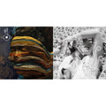 This is a 2 LP Vinyl SKU bundle.
1.This LP Vinyl is brand new.Format: LP VinylMusic Style: Drum n BassThis item's title is: Bastards: RemixArtist: BjorkLabel: ONE LITTLE INDIANBarcode: 5016958157012Release Date: 9/22/2023
2.This LP Vinyl is brand new.