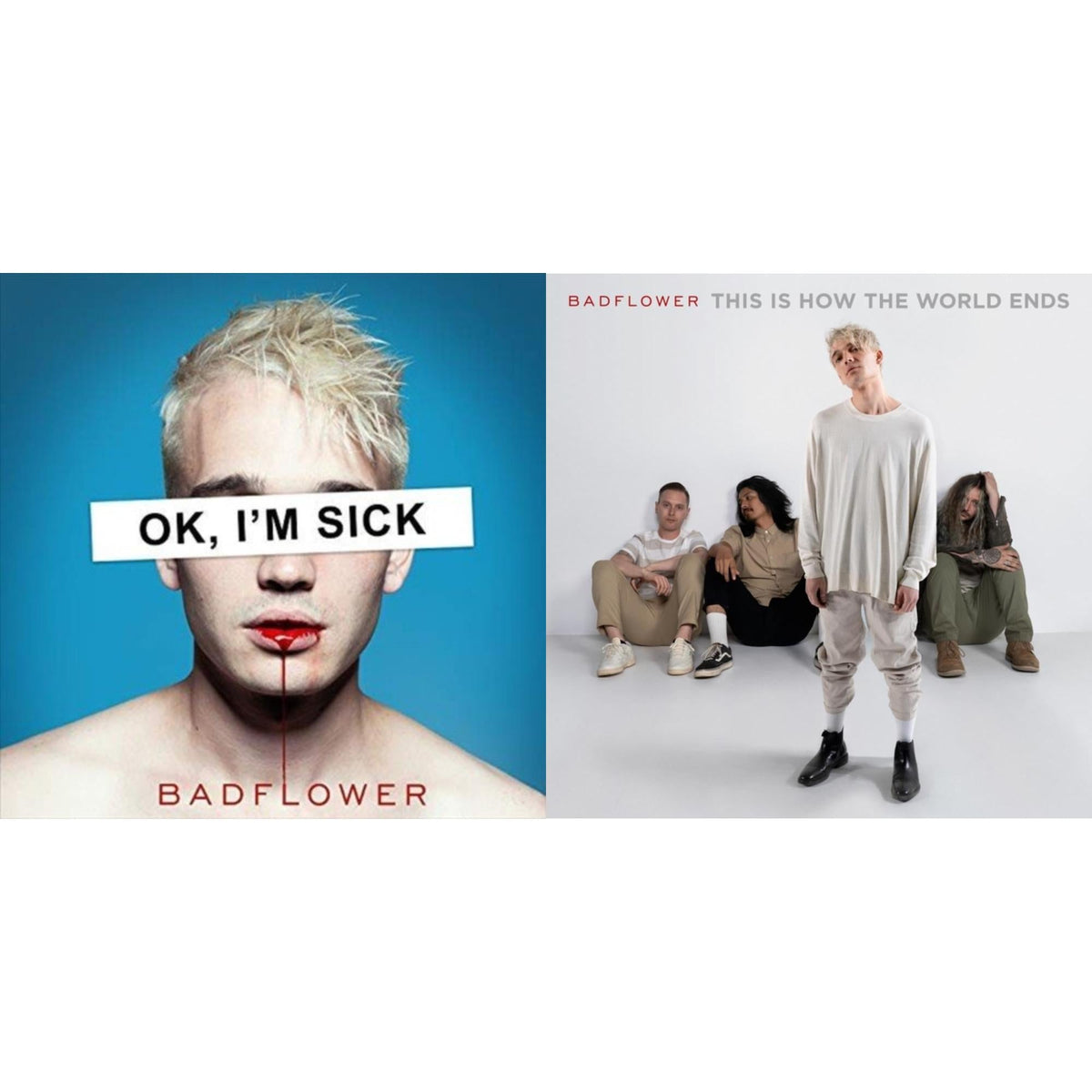 Ok I'm Sick (2LP) & This Is How The World Ends (X) (2LP)