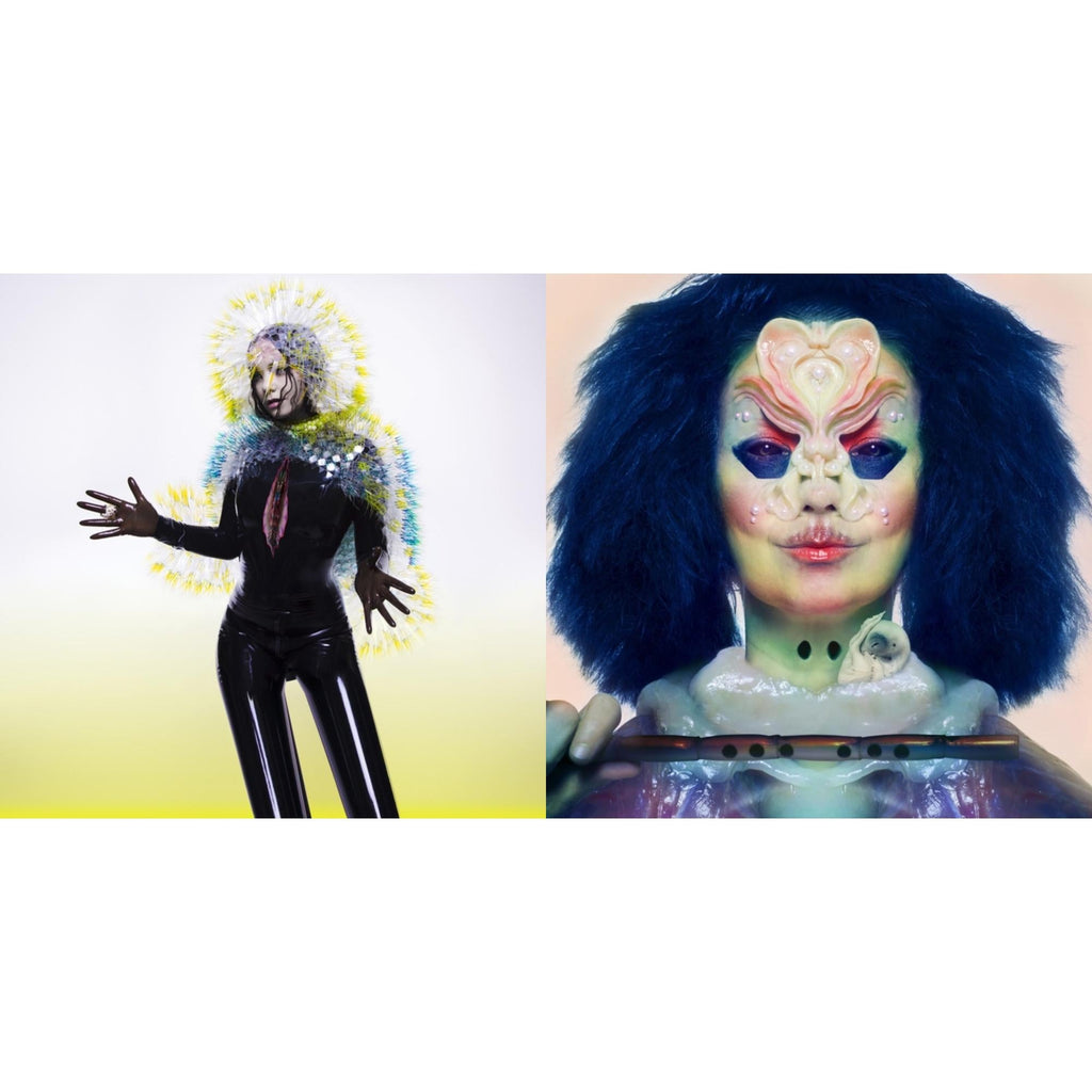 This is a 2 LP Vinyl SKU bundle.
1.This LP Vinyl is brand new.Format: LP VinylThis item's title is: VulnicuraArtist: BjorkBarcode: 5016958998585Release Date: 4/21/2015
2.This LP Vinyl is brand new.