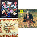 Accidents & Pretty Girls & Leaves & When We’Re Young